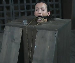 Bitch in a Box - BONUS